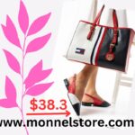 Lady's shoe and bag
