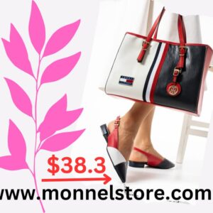 Lady's shoe and bag